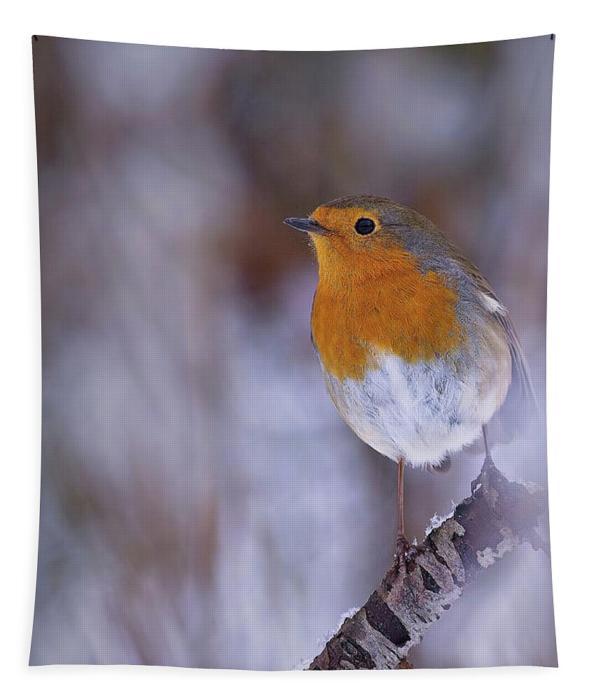 Erithacus Rubecula Tapestry featuring the photograph Robin in the snow by Tony Mills