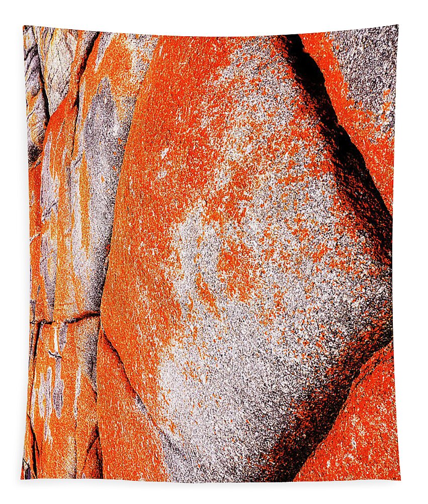 Rock Tapestry featuring the photograph Rock Abstracts - Bay of Fires 2 by Lexa Harpell
