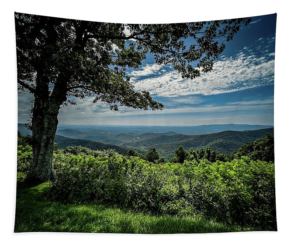 Blue Ridge Parkway Tapestry featuring the photograph Rock Castle Gorge Overlook - HDR by Deb Beausoleil