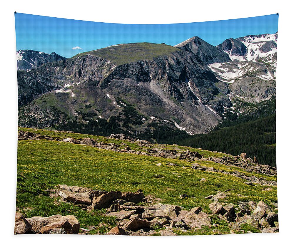 Alpine Tapestry featuring the photograph Rock Cut Overlook 2 from Trail Ridge Road, Rocky Mountain National Park, Colorado by Tom Potter