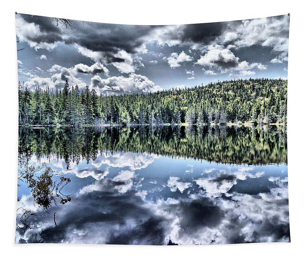Lake Tapestry featuring the photograph Rock Pond Reflections by Russel Considine