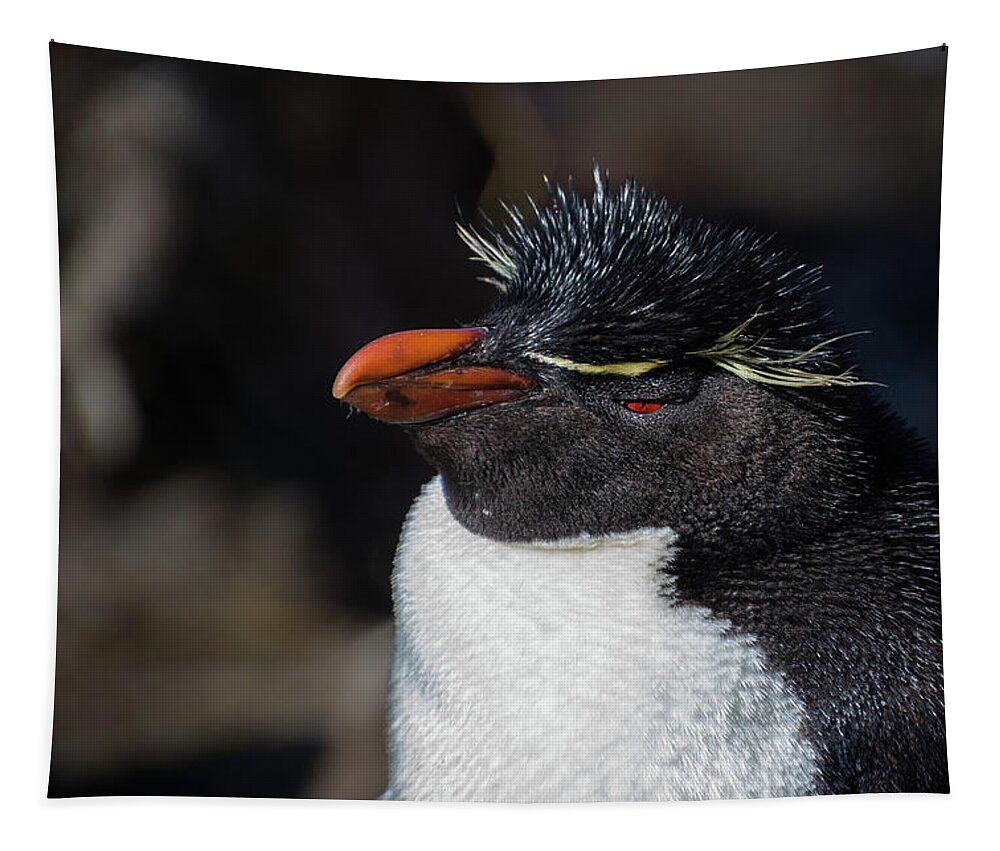 Penguin Tapestry featuring the photograph Rockhopper Portrait by Linda Villers