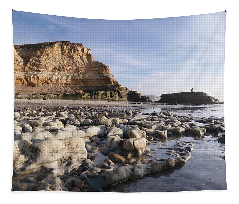 Rocks Along Torrey Pines State Beach Tapestry by William Dunigan