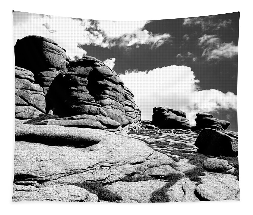 Black And White Tapestry featuring the photograph Rocks in black and White by Ron Roberts