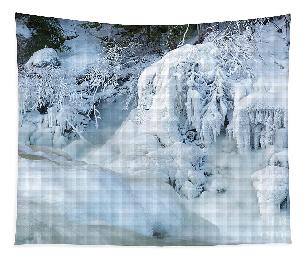 White Mountain National Forest Tapestry featuring the photograph Rocky Gorge Scenic Area - White Mountains New Hampshire by Erin Paul Donovan