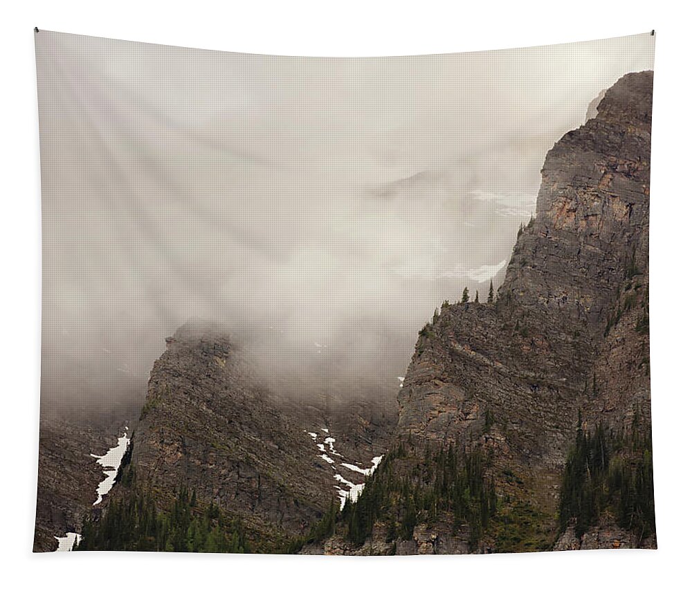 Mist Tapestry featuring the photograph Rocky Mountain Afternoon Mist by Carolyn Ann Ryan