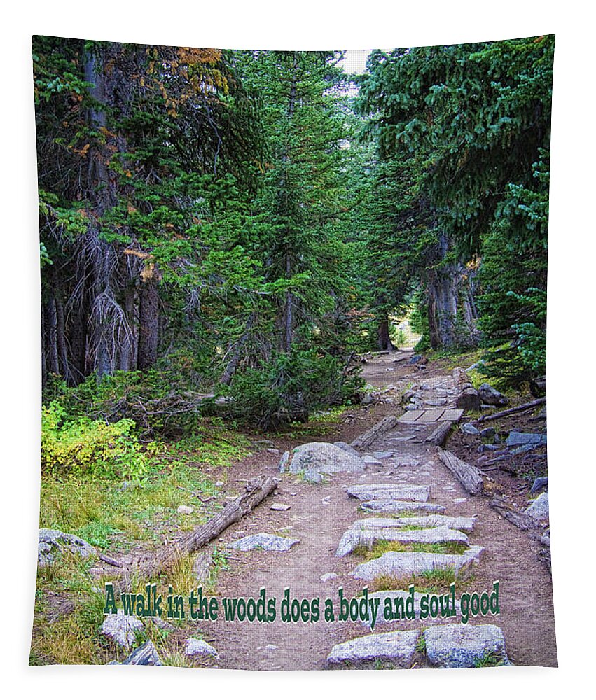 Path Tapestry featuring the photograph Rocky Mountain Walk in the Woods Does a Body and Soul Good by James BO Insogna