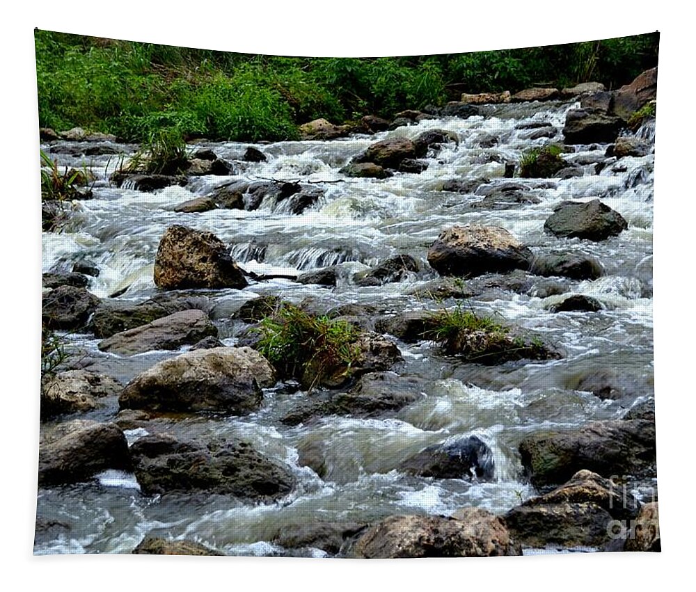 River Art Tapestry featuring the photograph Rocky River by Expressions By Stephanie