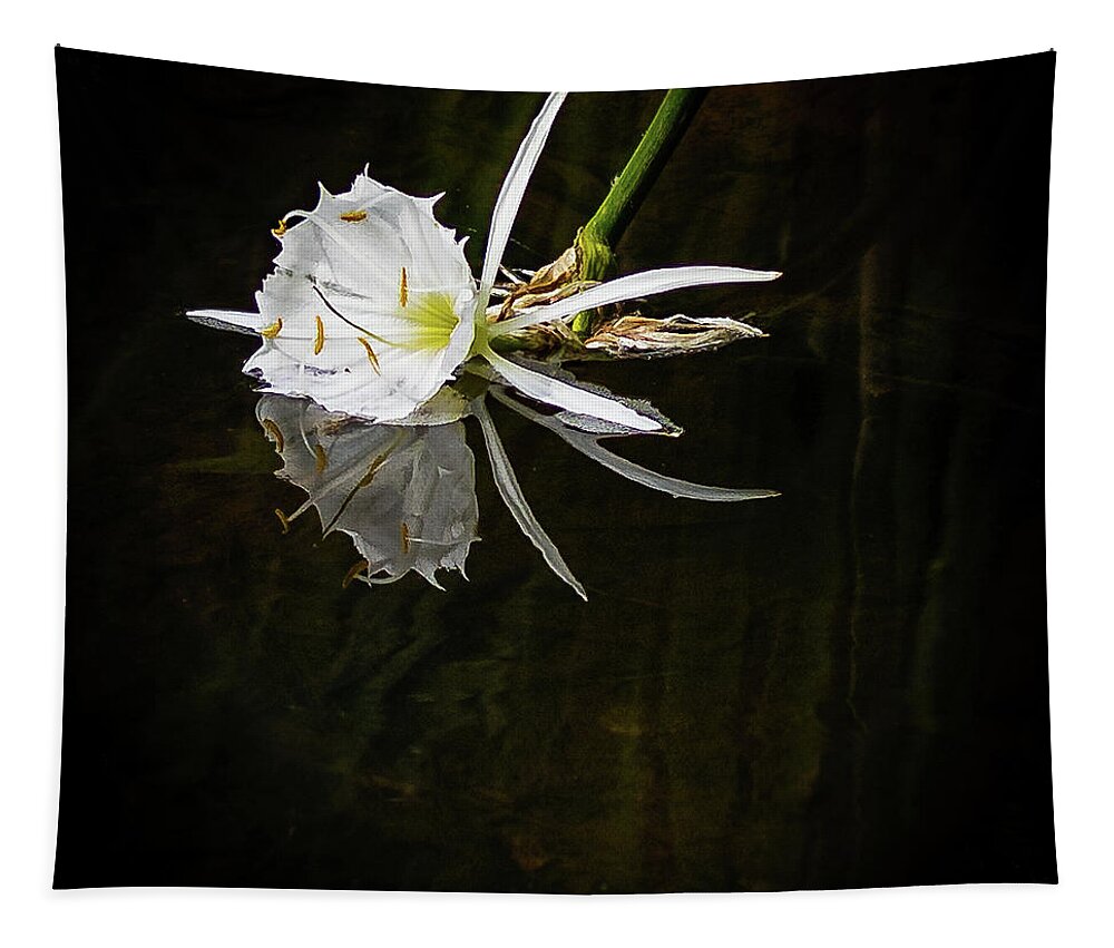 2022 Tapestry featuring the photograph Rocky Shoals Spider Lily by Charles Hite
