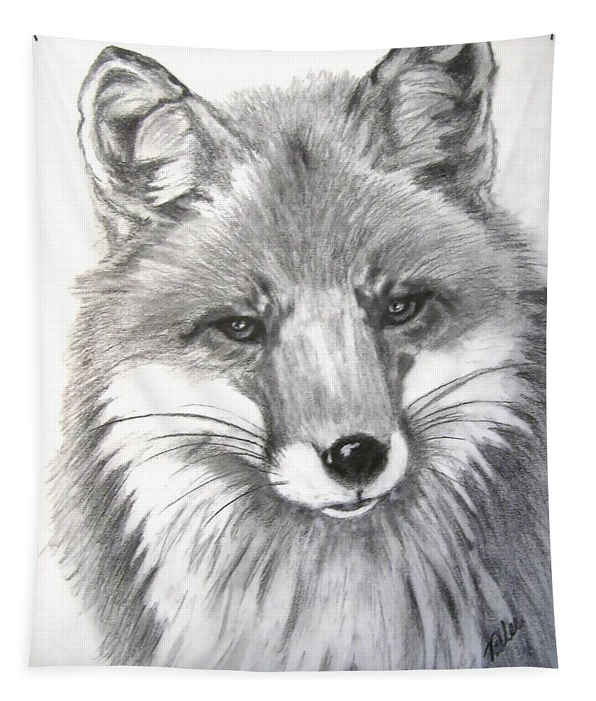 Fox Tapestry featuring the drawing Rocky by Vallee Johnson