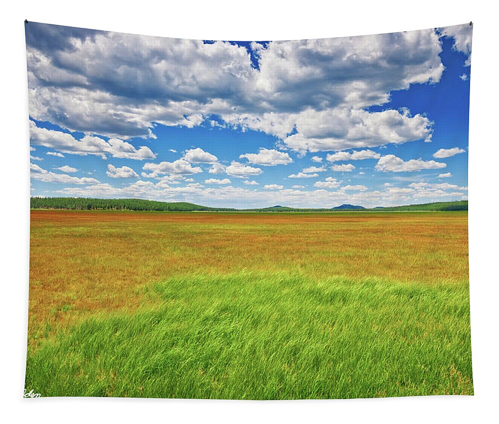 Arizona Tapestry featuring the photograph Rogers Lake by Jeff Goulden