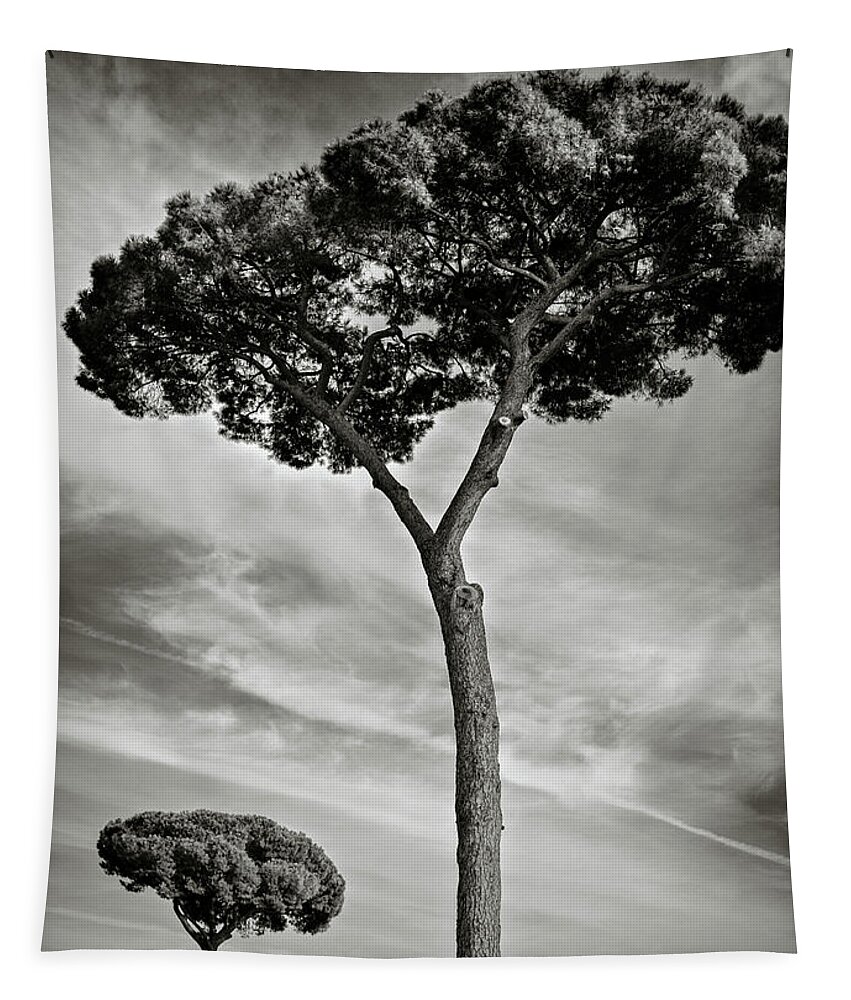Italy Tapestry featuring the photograph Roman Forum Trees by Dave Bowman