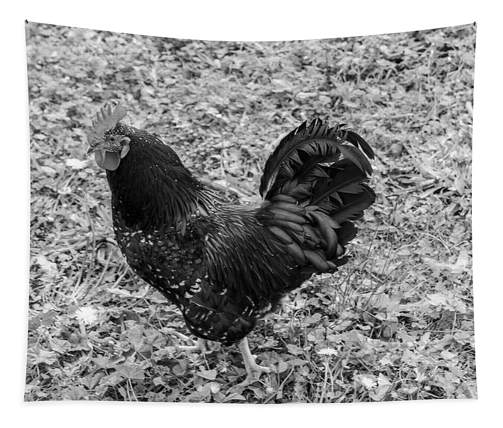 Rooster Tapestry featuring the photograph Rooster BW by Cathy Anderson