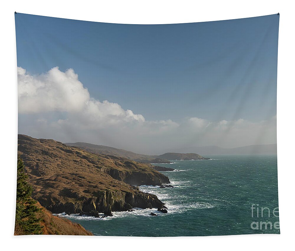 Cliff Tapestry featuring the photograph Rooted to the Cliff by Catherine Sullivan