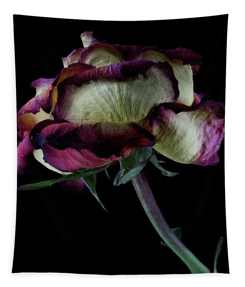 Macro Tapestry featuring the photograph Rose 3092 by Julie Powell