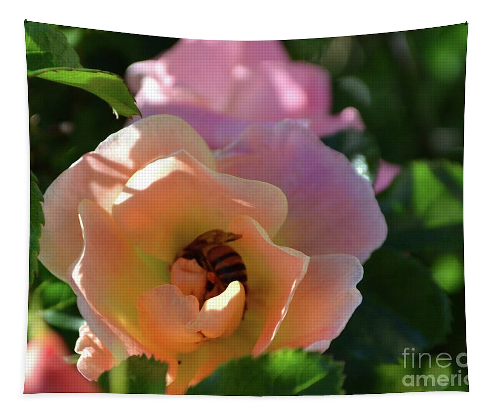 Rose Photography Tapestry featuring the photograph Rose and Bee in the Sunshine by Expressions By Stephanie