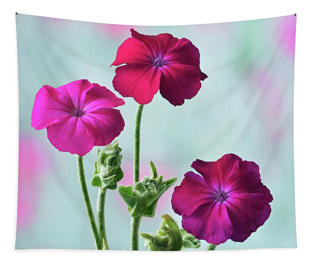 Rose Campion. Tapestry featuring the photograph Rose Campion by Terence Davis