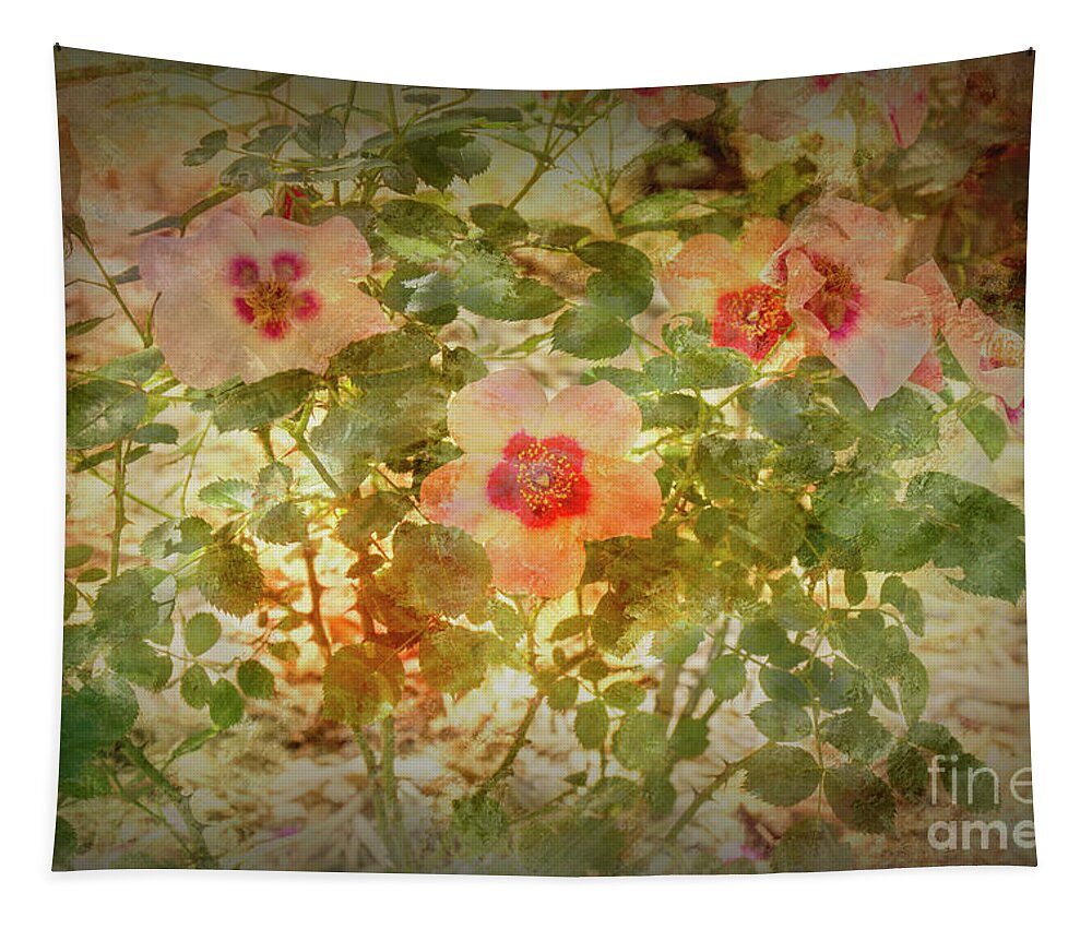Roses Tapestry featuring the photograph Rose Garden 1 by Elaine Teague