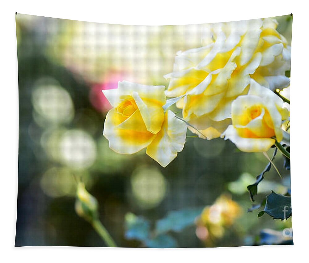 Rose Tapestry featuring the photograph Rose garden with bokeh background and copy space. by Milleflore Images