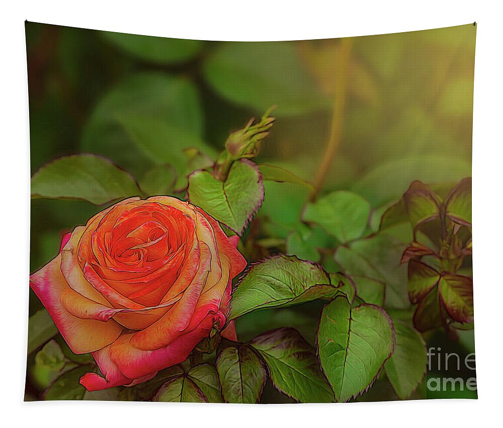Rose Tapestry featuring the photograph Rose Glow by Shelia Hunt