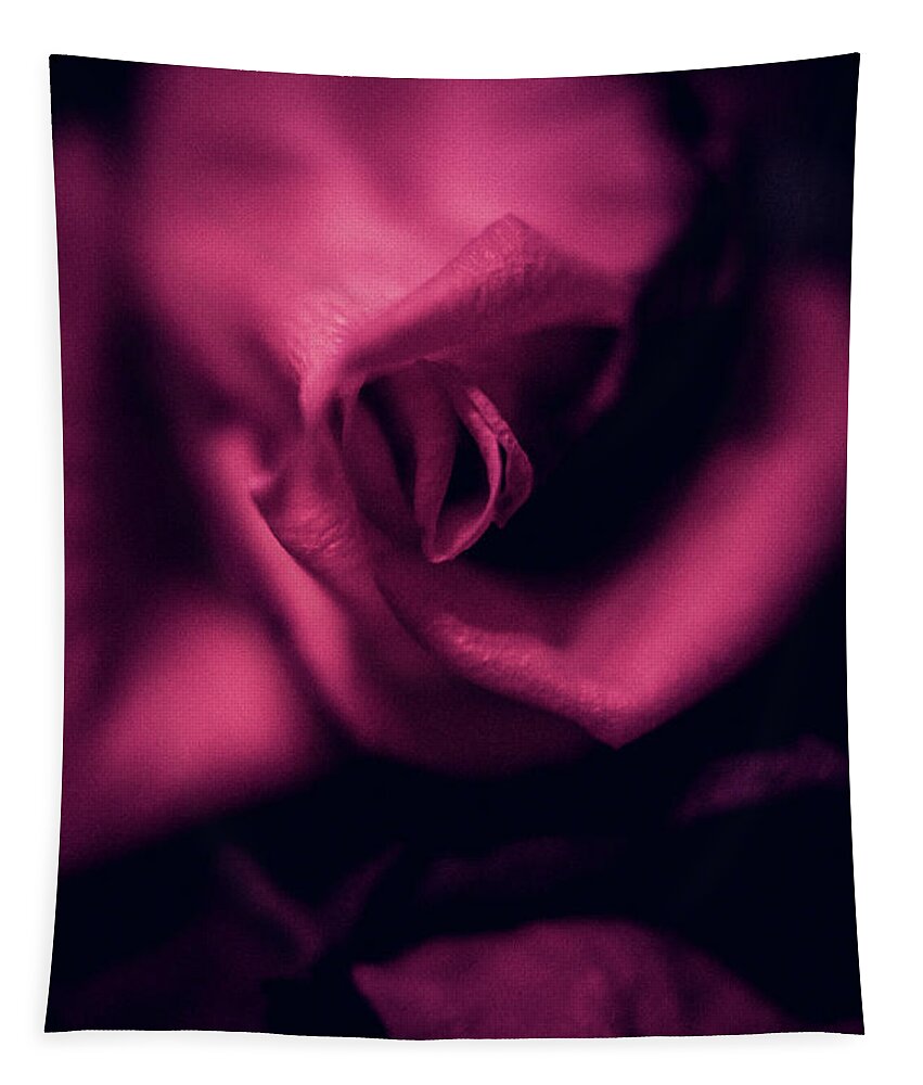 Flower Tapestry featuring the photograph Rose in vertical by Anamar Pictures