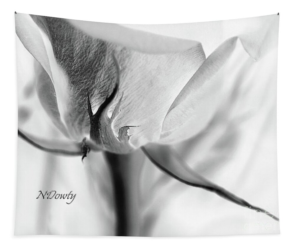 Rose Sepal Bw Tapestry featuring the photograph Rose Sepal BW by Natalie Dowty