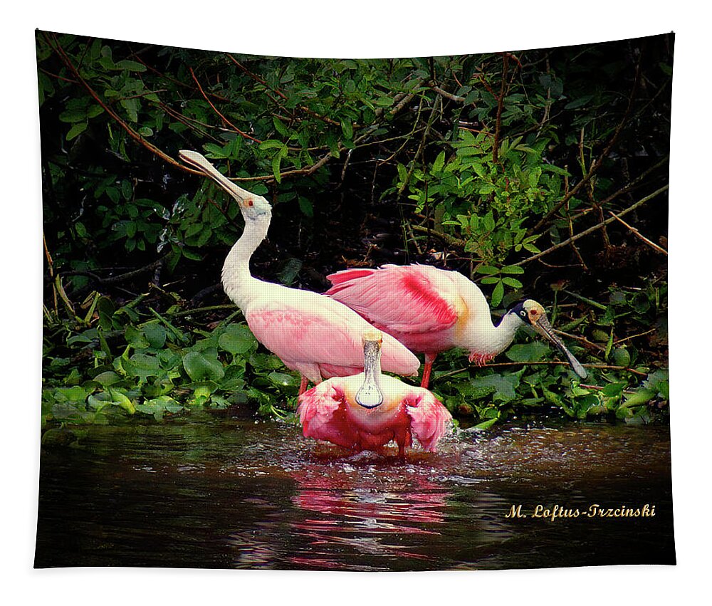 Wild Tapestry featuring the photograph Roseata Spoonbill - Bathtime by Michele A Loftus