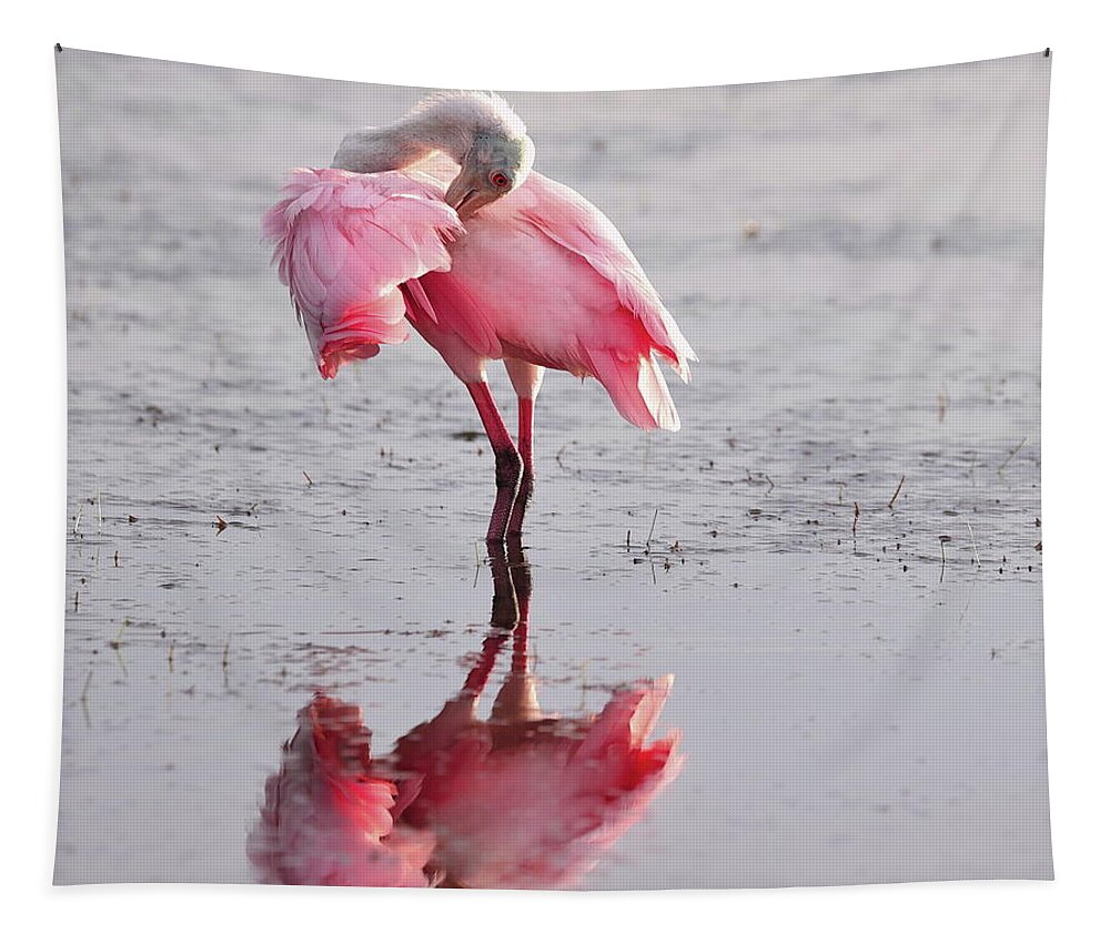 Roseate Spoonbill Tapestry featuring the photograph Roseate Spoonbill 12 by Mingming Jiang