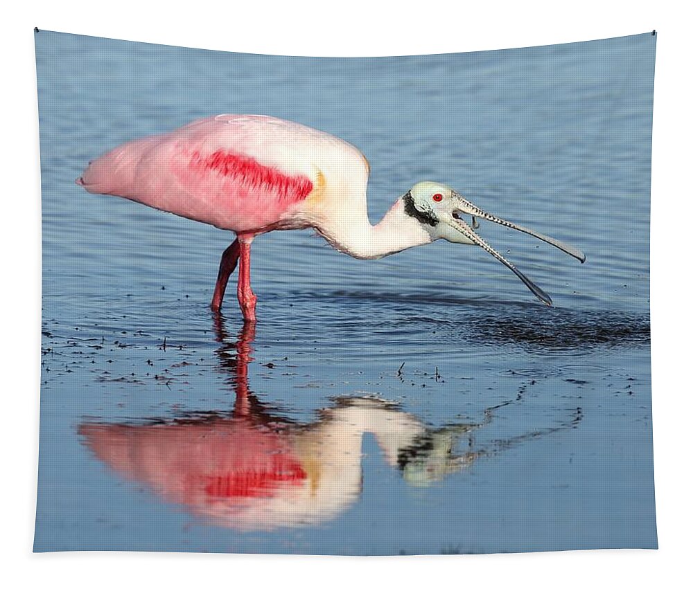 Roseate Spoonbill Tapestry featuring the photograph Roseate Spoonbill 17 by Mingming Jiang