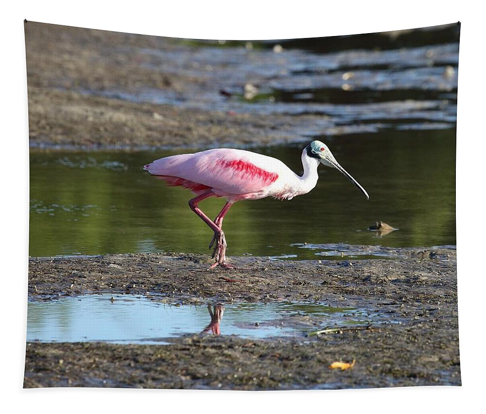 Roseate Spoonbill Tapestry featuring the photograph Roseate Spoonbill 4 by Mingming Jiang