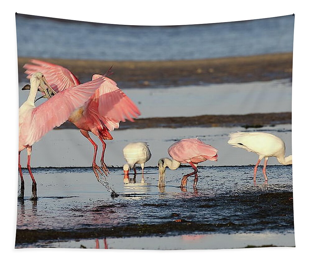 Roseate Spoonbill Tapestry featuring the photograph Roseate Spoonbill 9 by Mingming Jiang