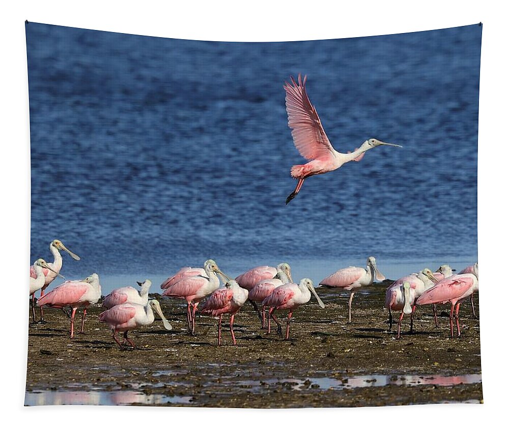 Roseate Spoonbill Tapestry featuring the photograph Roseate Spoonbills Gather Together 5 by Mingming Jiang