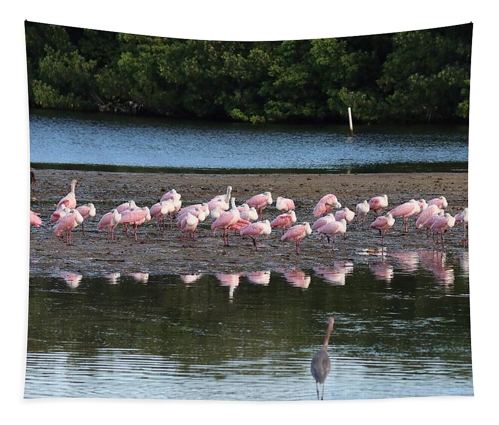 Roseate Spoonbill Tapestry featuring the photograph Roseate Spoonbills Gather Together 7 by Mingming Jiang