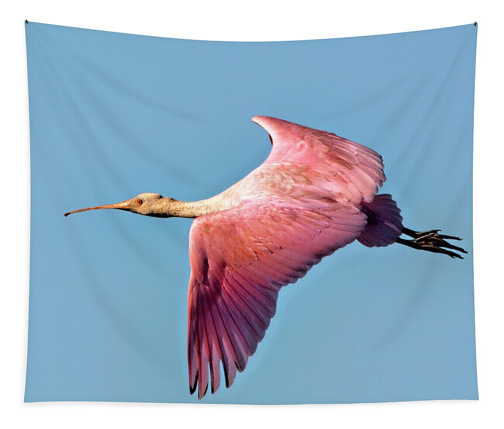 Roseate Spoonbill Tapestry featuring the photograph Roseate Spoonbill in Flight by Jerry Griffin