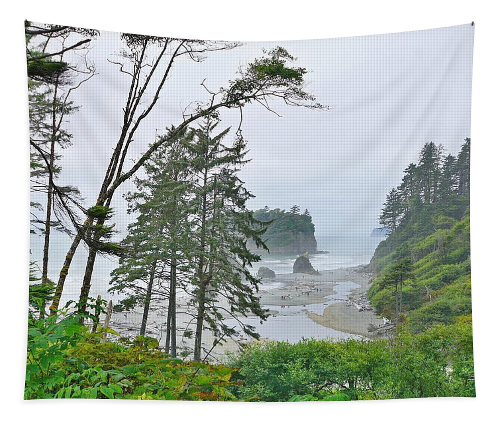 Ocean Tapestry featuring the photograph Ruby Beach by Bill TALICH