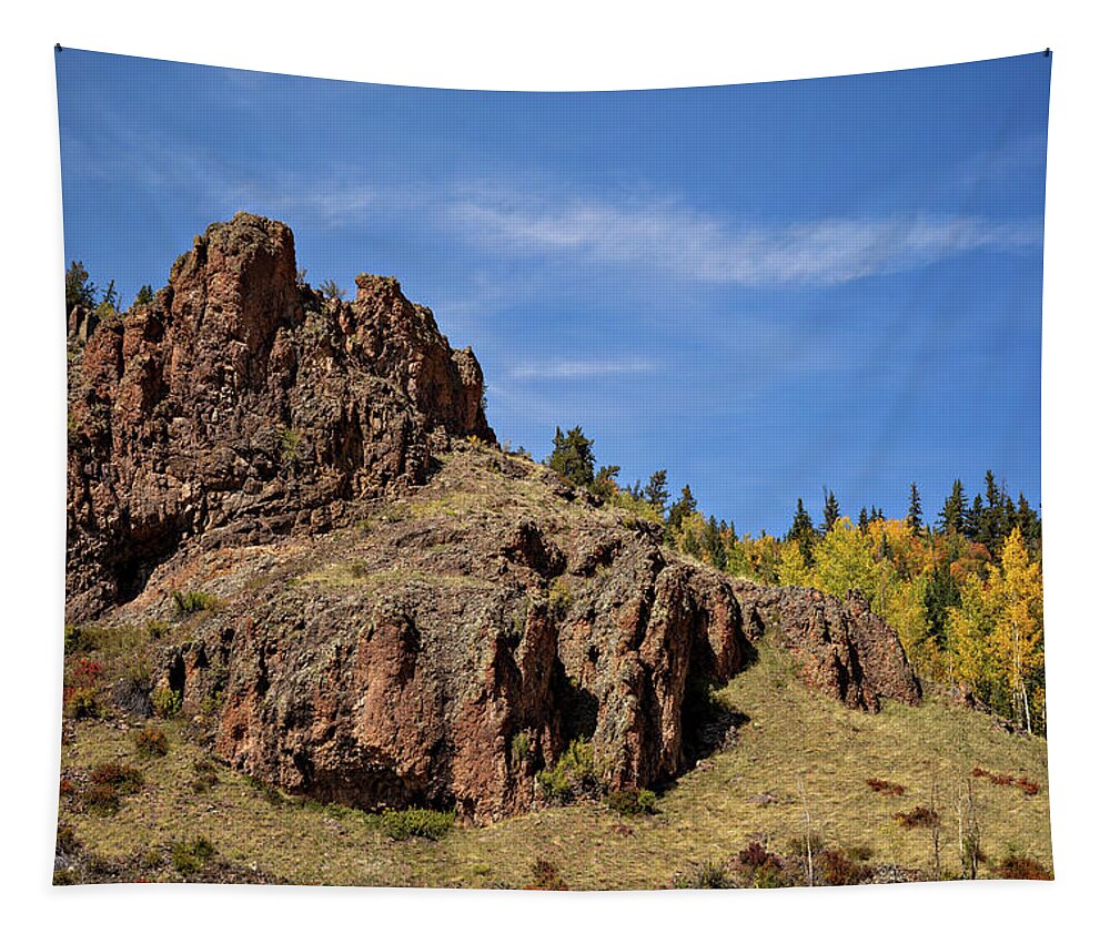 Co Tapestry featuring the photograph Rugged by Lana Trussell