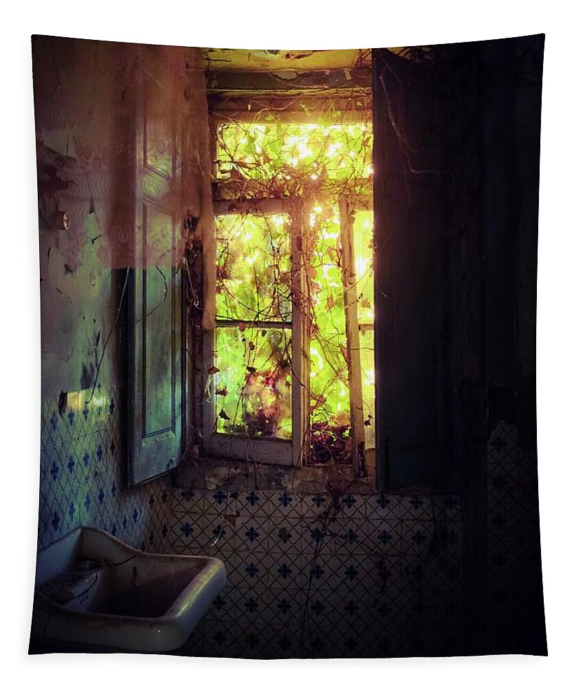 Abandoned Tapestry featuring the photograph Ruined Bathroom by Carlos Caetano