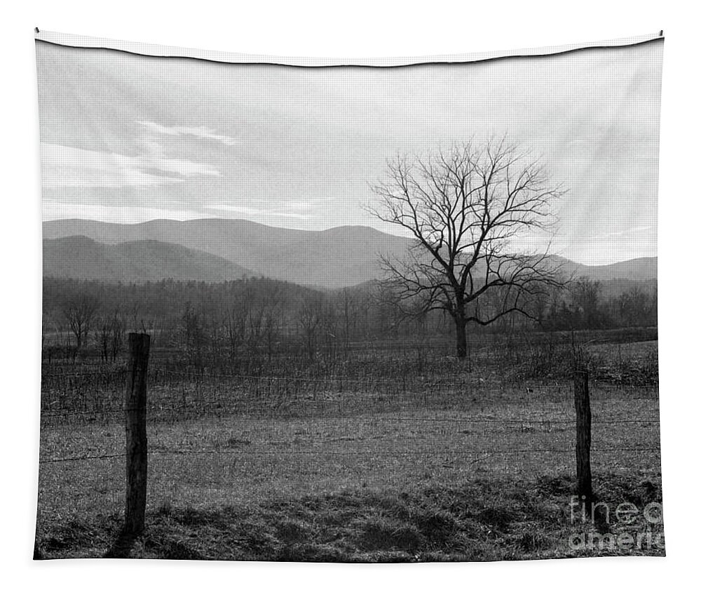 Landscape Tapestry featuring the photograph Rural Tennessee - BWM000126 by Daniel Dempster