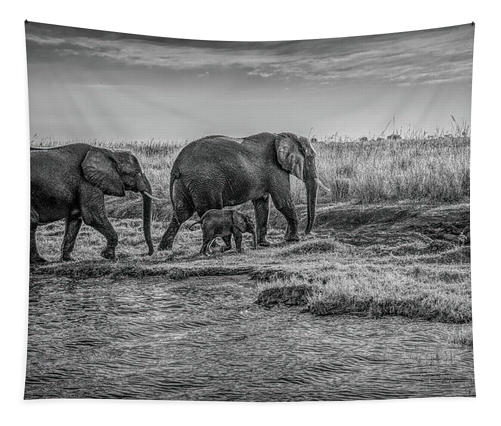 Chobe National Park Tapestry featuring the photograph Safely On The Other Side, Black and White by Marcy Wielfaert