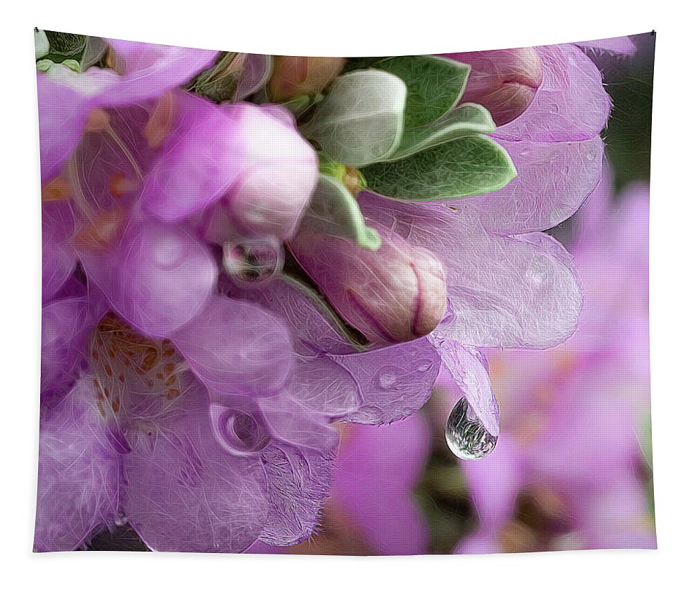 Sage Tapestry featuring the photograph Sage Bloom after the Rain by Cheri Freeman