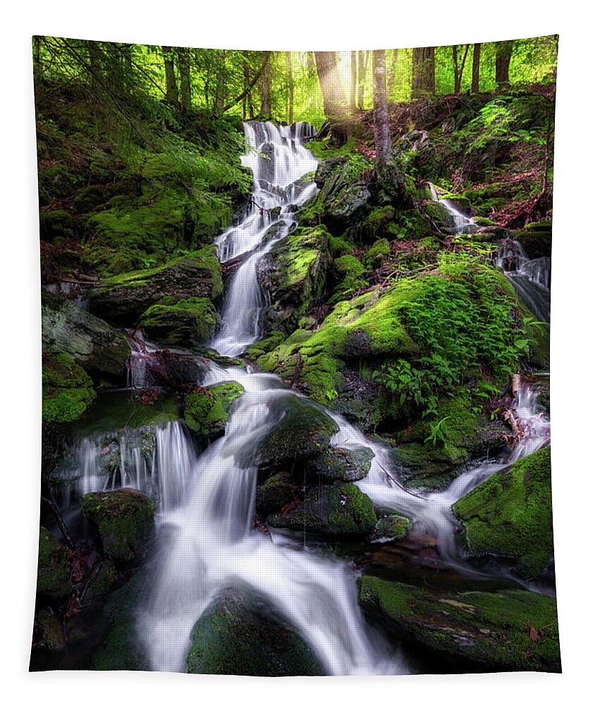 Appalachian Trail Tapestry featuring the photograph Sages Ravine Waterfall by Bill Wakeley