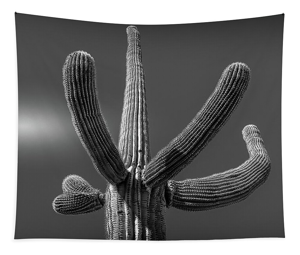 Minimalism Tapestry featuring the photograph Saguaro #1 Selenuim by Jennifer Wright