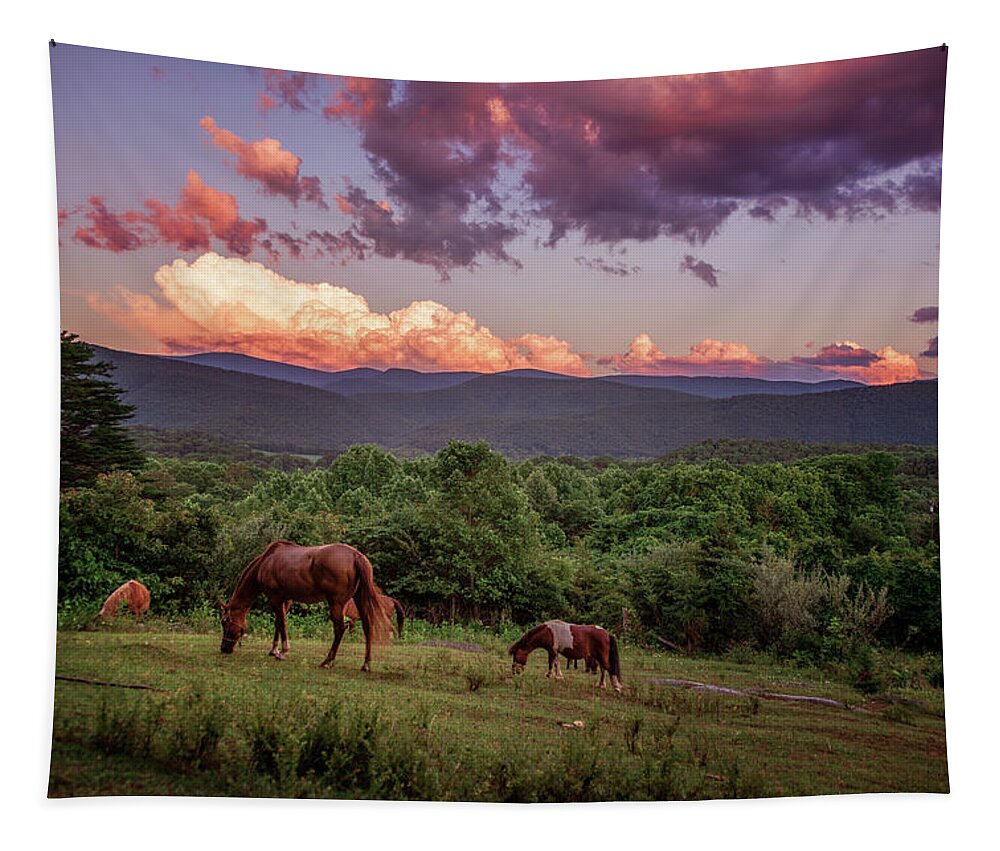 Sunset Tapestry featuring the photograph Saharan Dust Sunset by Tricia Louque
