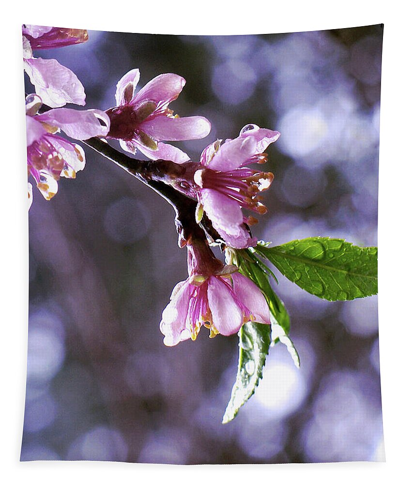 Sakura Rain Tapestry featuring the photograph Sakura Rain by Susan Maxwell Schmidt