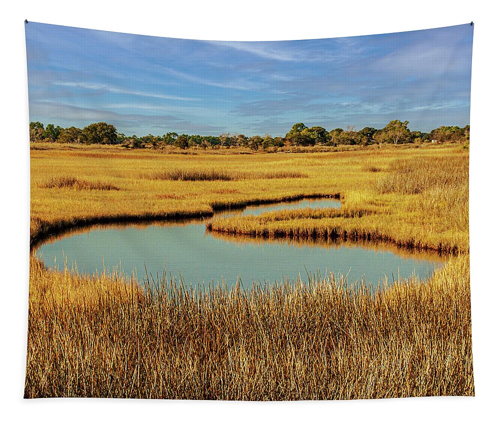 Camera Tapestry featuring the photograph Salt Marsh Photograph by Louis Dallara