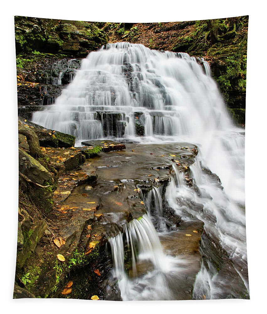 Waterfall Tapestry featuring the photograph Salt Springs Waterfall by Christina Rollo