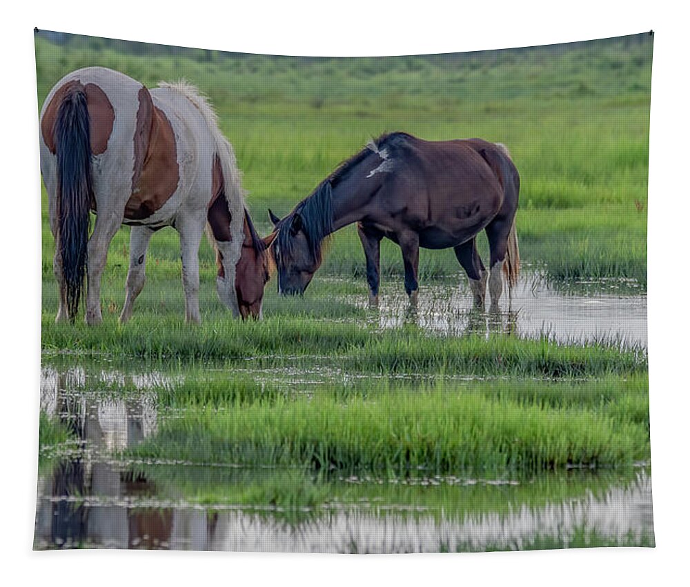 Chincoteague Island Tapestry featuring the photograph Saltwater Ponies of Chincoteague Island by Marcy Wielfaert