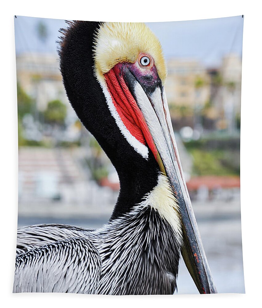 Pelican Tapestry featuring the photograph San Diego Pelican by Kyle Hanson