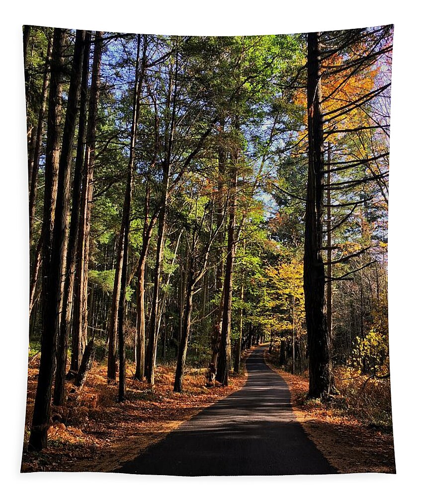 Road Tapestry featuring the photograph San Juan Fall by Jerry Abbott