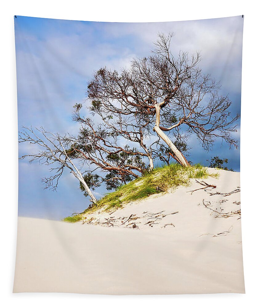 Beach Tapestry featuring the photograph Sand Dunes with Bent Trees 2 by Lexa Harpell